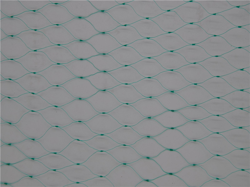 7GSM Green Extrusive HDPE Agriculture Anti Bird Netting