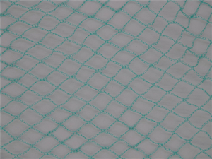 22GSM Green UV Stablized Plastic Anti Bird Netting for Orchard