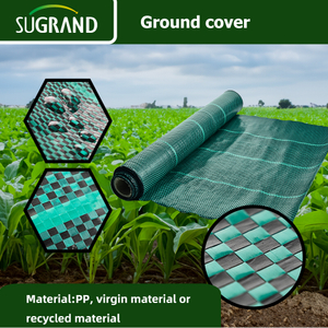 PP greeGround Cover Landscape Fabric with Precut Holes