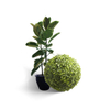 Cheap Factory Price PVC Artificial Grass for Wall Decoration