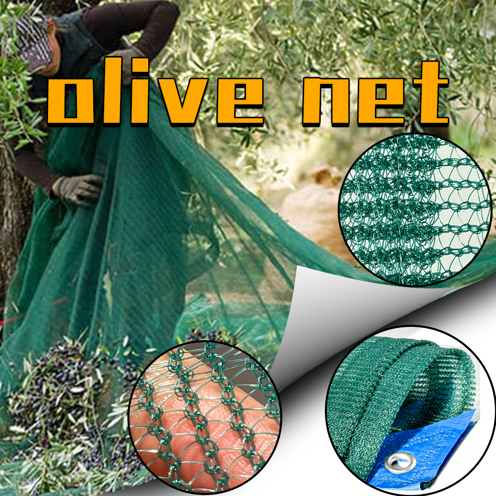 orchard olive net Supplier