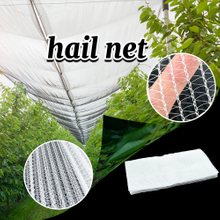 Yemen Market Factory Supply Plastic Anti Hail Protection Net for Agriculture