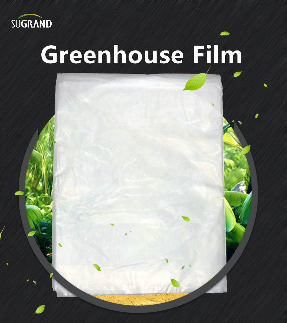 greenhouse film 1