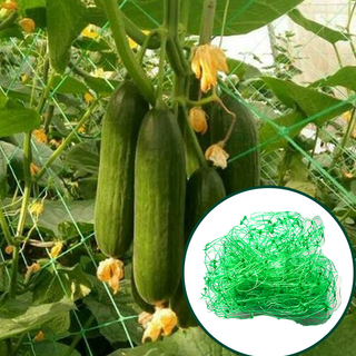 Vegetable Trellis Net for Crawling Plant Support Climbing Netting
