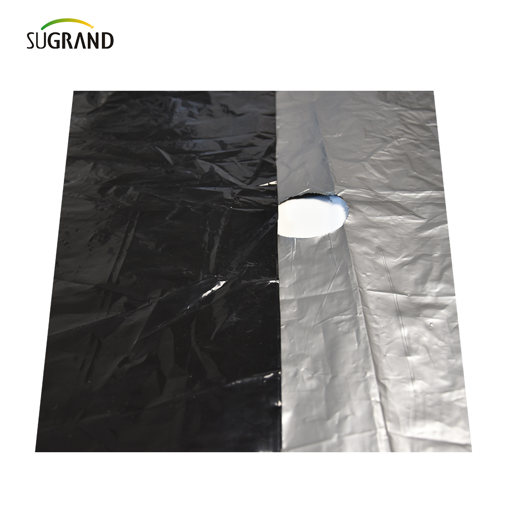 Agricultural Durable Mulch Film for Plantation Protection biodegradable with holes