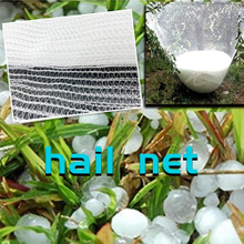HDPE White Large Hail Protection Net Anti Hail Net for Fruit Tree