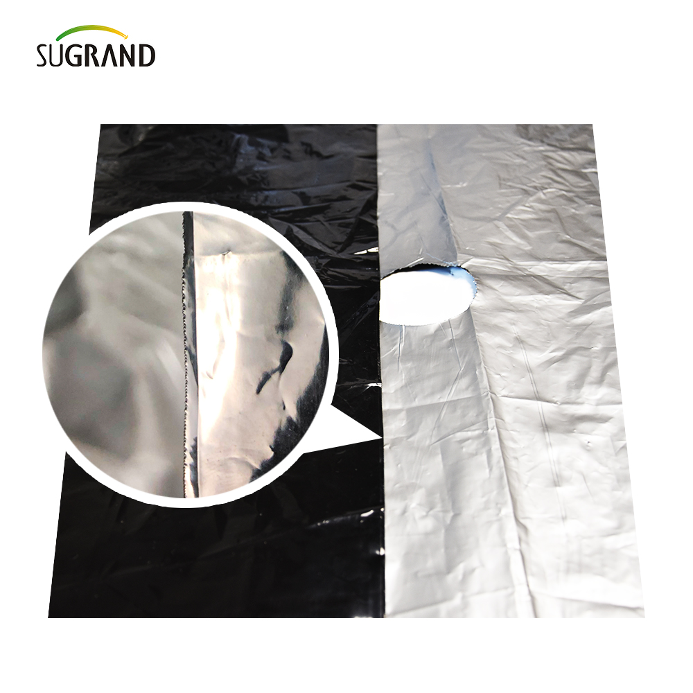 Agricultural Durable Mulch Film for Plantation Protection biodegradable with holes